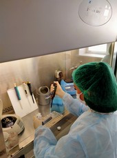 Исследование пищевой продукции на наличие генетически модифицированных организмов за сентябрь 2020 года