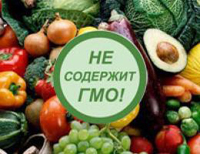 Проведены исследования на ГМО за две недели сентября