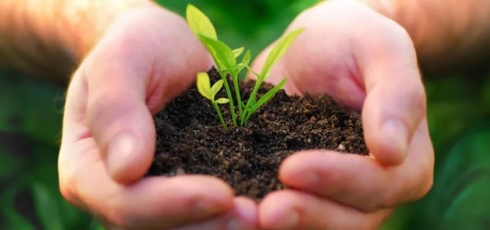 Саратовской лабораторией проводится исследование почв на наличие пестицидов и тяжелых металлов