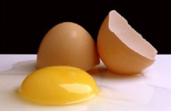 Качество яиц, как определяющий фактор инкубации