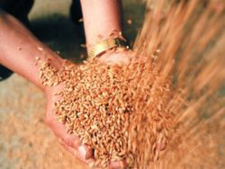 Филиал ФГБУ «Саратовская МВЛ» в Республике Мордовия эффективно сработал за 6 месяцев 2018г