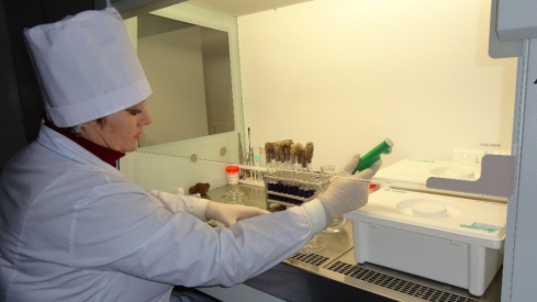 Специалисты Саратовской МВЛ проводят исследования на безопасность кормов