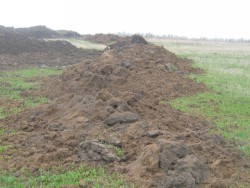 Установлено существенное снижение показателей плодородия на землях сельскохозяйственного назначения