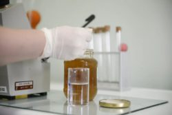 Саратовская МВЛ: Качество меда соответствует ГОСТу