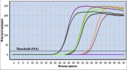 Получено 4 положительных результата при исследования животных на инфекционные заболевания