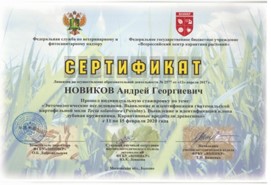 Эксперты отдела фитосанитарной экспертизы Саратовской МВЛ прошли стажировку на базе ФГБУ ВНИИКР
