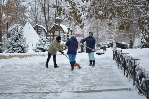 Коллектив ФГБУ «Саратовская МВЛ» активно поддерживает порядок на территории учреждения