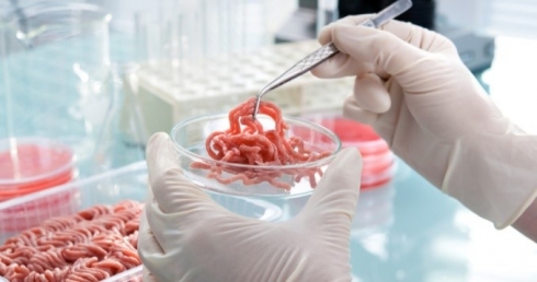 Экспертиза продуктов питания