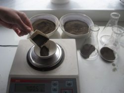 Лабораторно снижение показателей плодородия на землях сельскохозяйственного назначения не подтверждено