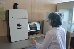 Отчет саратовской ветлаборатории о проведенных молекулярным методом исследованиях на инфекционные заболевания за 6 месяцев 2018 года