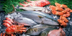 Утвержден регламент на рыбную продукцию