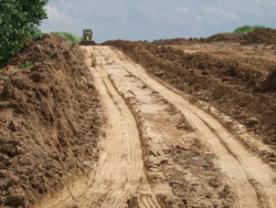 Лабораторно установлено снижение показателей плодородия на землях сельскохозяйственного назначения