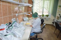 Выявляемость экономически опасных вредителей запасов экспортируемой зерновой продукции за 2017 г