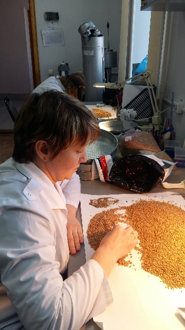 Итоги работы филиала ФГБУ «Саратовская МВЛ» в Республике Мордовия за 1 квартал 2019г.