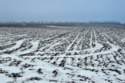 Саратовская МВЛ: Несоблюдение земельного законодательства РФ