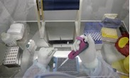 Выполнение плана государственного эпизоотологического мониторинга по зоне обслуживания