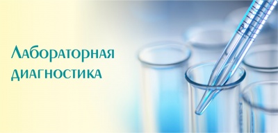 Информация для руководителей сельхозпредприятий и владельцев животных. Приглашаем к сотрудничеству!