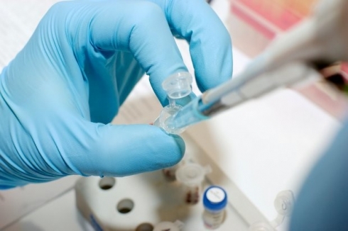 Проверка земельных участков сельскохозяйственного назначения на химико-токсикологические показатели