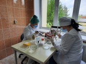 Специалистами отдела  вирусологии и гематологии Саратовской МВЛ выявлено 39 положительных результатов за неделю                              