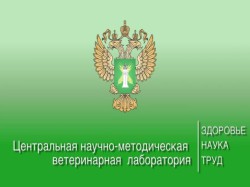 О прохождении обучения в ФГБУ ЦНМВЛ, г. Москва