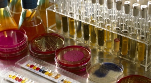 Внутренний контроль качества саратовской лаборатории за 1 квартал 2019 года