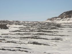 Выявлено снижение показателей плодородия