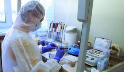 Работа, выполненная специалистами отдела вирусологии и гематологии за неделю с 6 по 13 июля