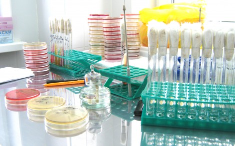 Выполнение плана государственного эпизоотологического мониторинга  по зоне обслуживания 