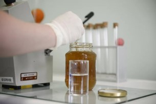 Саратовская МВЛ: Качество меда соответствует ГОСТу 