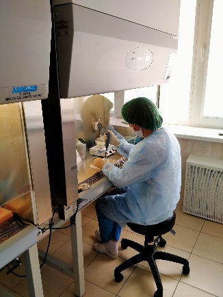 Исследования на инфекционные заболевания методом полимеразной цепной реакции (ПЦР) за первую половину августа 2021 года
