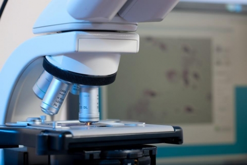 За август 2019 года в пробах патологического материала вирус африканской чумы свиней не обнаружен