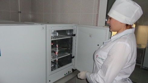 Золотистый стафилококк не обнаружен