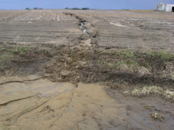Водная эрозия