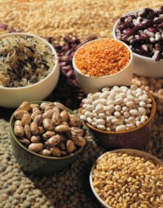 Лабораторно установлено снижение показателей плодородия на землях сельскохозяйственного назначения