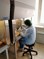 Исследования на инфекционные заболевания методом полимеразной цепной реакции (ПЦР)