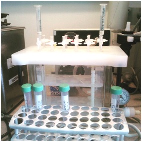 Саратовской ветлабораторией найдены антибиотики в курице