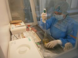 Работа отдела ветеринарно-санитарной экспертизы за 8 месяцев 2017 года