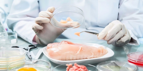 БГКП в пищевых продуктах не обнаружены