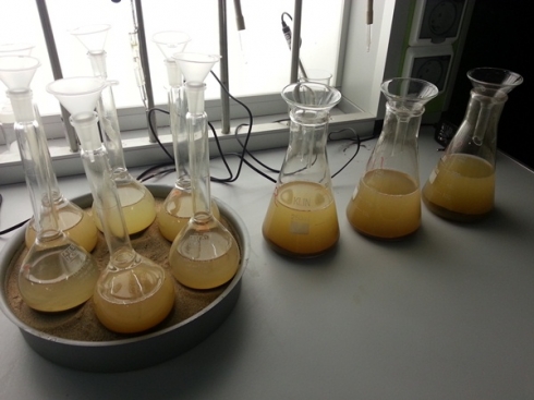 На землях сельскохозназначения в Красноармейском районе Лабораторно подтверждено снижение показателей плодородия.