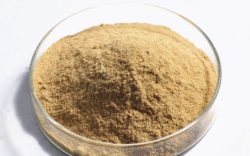 В отдел саратовской ветлаборатории поступил кормовой дрожжевой белок