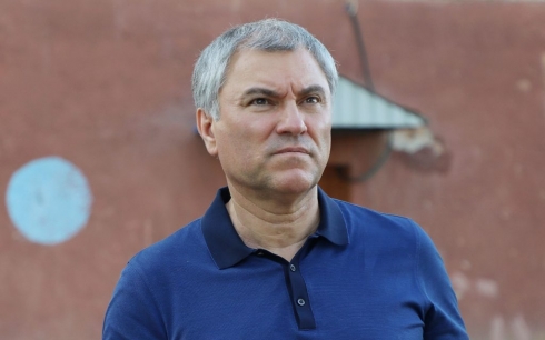 Володин: «Защищайте права граждан, а не ходите по шашлычным»