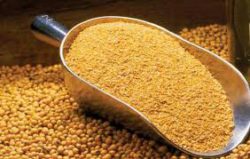 Активность уреазы