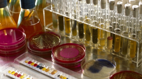 Отделом бактериологии, паразитологии и микологии саратовской ветлаборатории выделено 9 положительных результатов