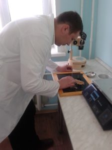 Итоги работы лаборатории по определению посевных и сортовых качеств семян за 9 месяцев 2017 года