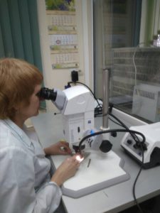 Новое современное оборудование – высокий уровень исследований!!!