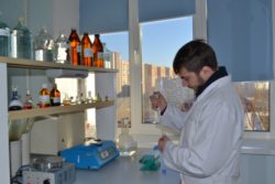 О фальсификации молока меламином