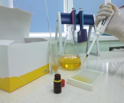 Специалисты Саратовской МВЛ успешно справились с межлабораторными сличительными испытаниями по определению микробной трансглутаминазы