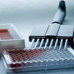 Эффективная иммунизация промышленного птицепоголовья – благополучие хозяйства!