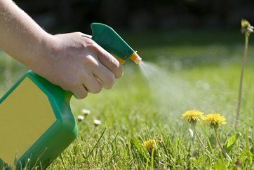 ФГБУ «Саратовская МВЛ» проводит исследования зерна и пищевой продукции на остаточное количество глифосата и глюфосината