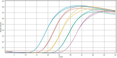 О проведении исследований биологического материала отделом генодиагностики и ИФА за октябрь месяц